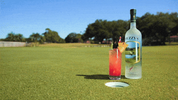 Fuzzy's Vodka GIF
