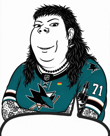 Nhl Fan GIF