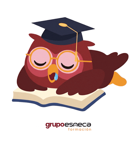 Owl Estudiar GIF by Grupo Esneca Formación
