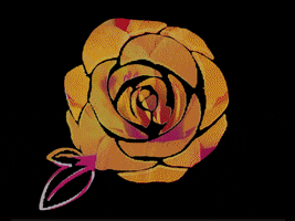 angeladitomaso digital rose blooming rose mapping GIF
