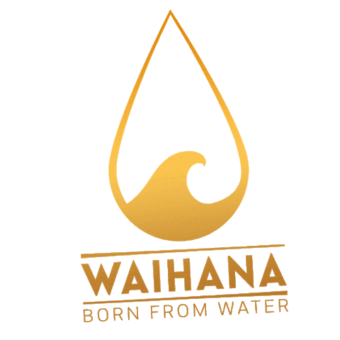 Hawaii Spearfishing Sticker by Waihana