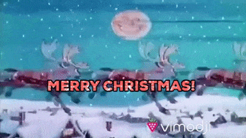 Merry Christmas GIF by Vimodji
