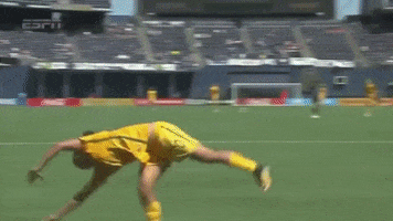 Australian Football Soccer GIF by Football Australia