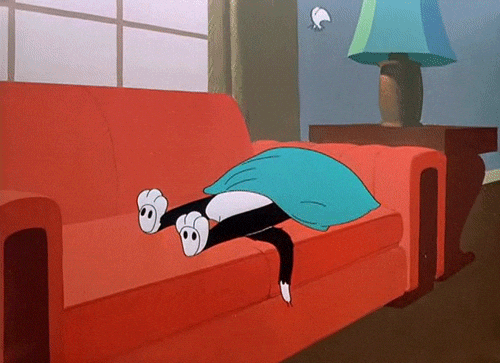 sleep sleeping GIF - sleep sleeping GIF