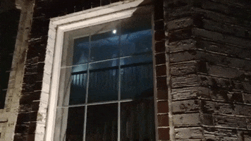 200.gif?cid=fc005b0884063835c3bcaeb814e8fbf9a7bd7ef48d575776&rid=200.gif&ct=g