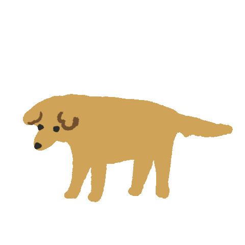 Golden Retriever Dog Sticker by zandraart