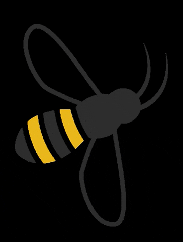 LashBeePro logo bee lashes bumblebee GIF