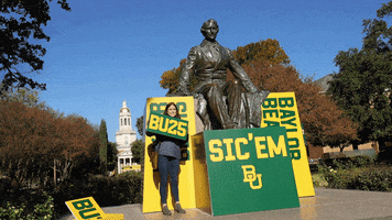 College Bears GIF by Baylor University