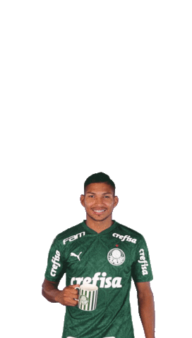Happy Instagram Sticker By Se Palmeiras For Ios Android Giphy