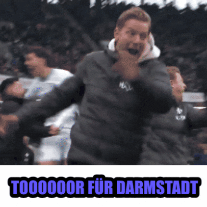 Sv Darmstadt 98 GIF