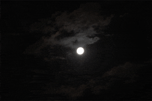 Night GIF