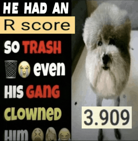 College Montreal GIF