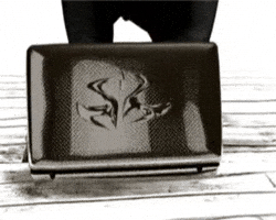 Assassin GIF