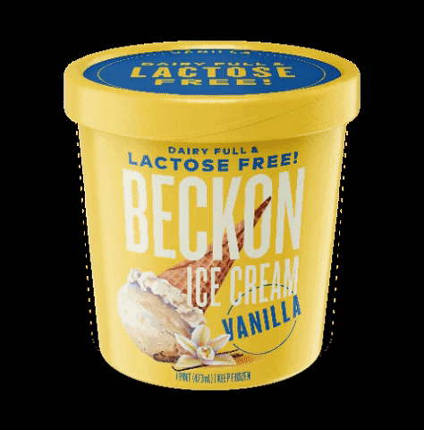 beckonicecream chocolate icecream espresso vanilla GIF