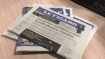 Journal Quotidien GIF by Le Figaro