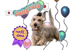 Bow Sticker by infkennel