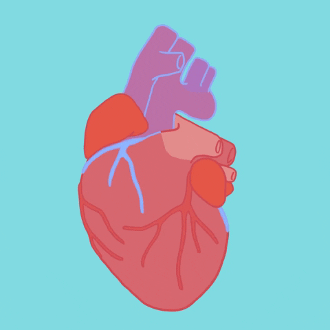 Love GIF