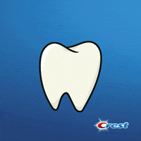 Happy Tooth Fairy GIF by Crest