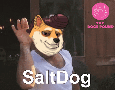 Dogecoin Tdp GIF by The Doge Pound thumbnail
