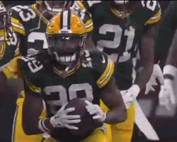 Green Bay Packers GIF