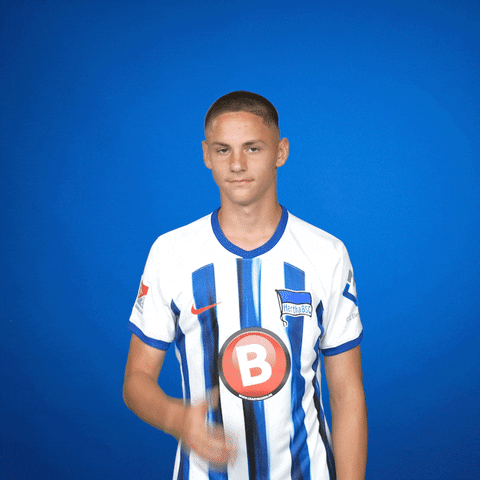 Oh No Facepalm GIF by Hertha BSC
