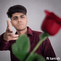 Trending Love GIF