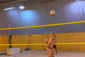 Volley GIF