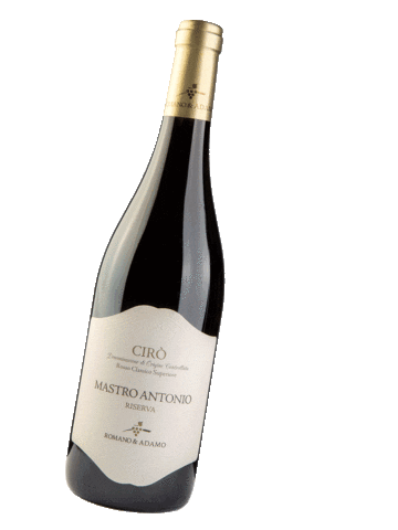 Food Wine Sticker by romanoeadamo