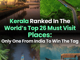 New York Times India GIF