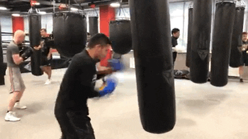 RCC_Sport fight knockout boxing rccboxing GIF