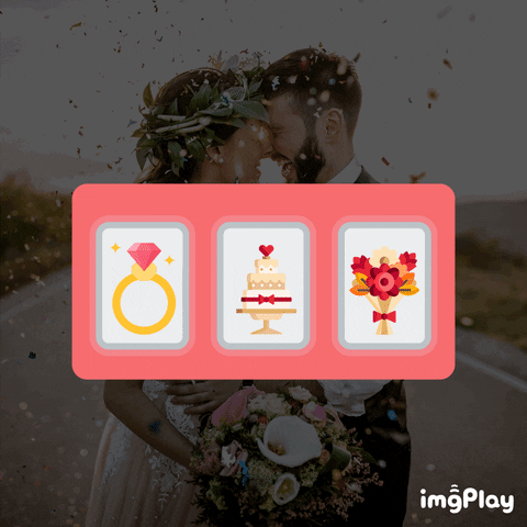 giphy.gif?cid=790b7611f4e3665ab71b69d4db862318e60192817e119918&rid=giphy.gif&ct=g