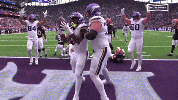 Celebration Teammates GIF by Minnesota Vikings