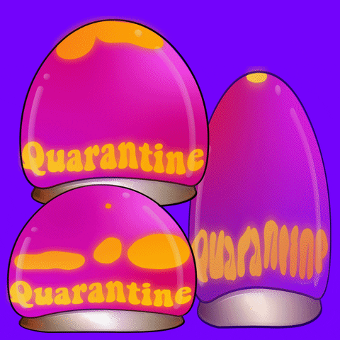 Digital art gif. Glowing orange blobs drip inside three ambient purple and hot pink lava lamps. At the bottom of the lamps, the blobs take form as letters, and they all read, "Quarantine."