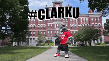 College Sports GIF by Clark University