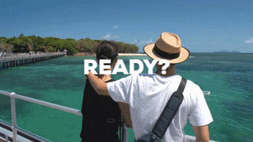 Lets Go Island GIF by Experience Co