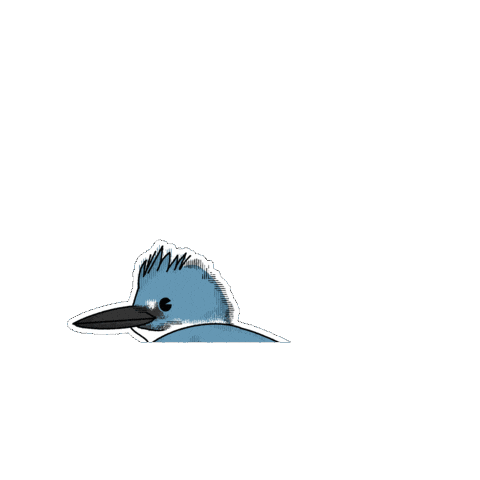 Bird Fauna Sticker by Parks Conservancy