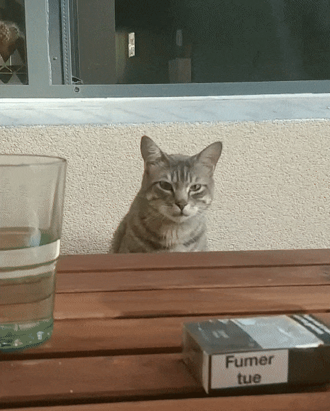 Jatahq GIF