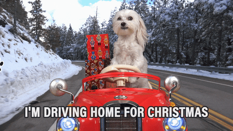 Merry Christmas Car Dog GIF by Warner Music Germany - Find & Share on GIPHY