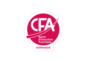 CFA SAT NORMANDIE Sticker