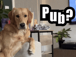 Pub GIF