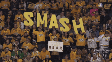 smash ice hockey GIF by NHL