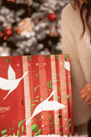 Christmas Drink GIF by waterdrop®