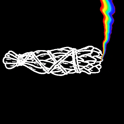 WelstandBoutique GIF