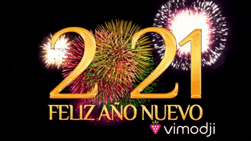 Feliz Ano Nuevo GIF by Vimodji