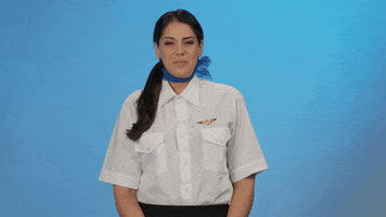 Dont Care Flight Attendant GIF by Rooster Teeth