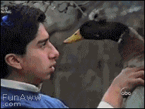 Aanval Bijten GIF