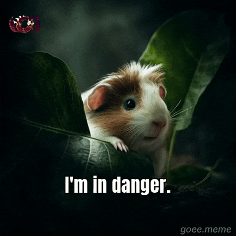Scared Crypto GIF by Goeememe