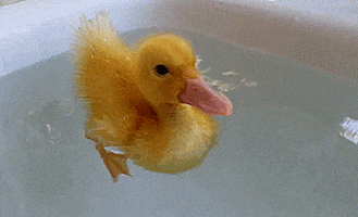 baby swimming GIF
