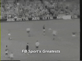 ereklemtchedlidze fb sport's greatests GIF