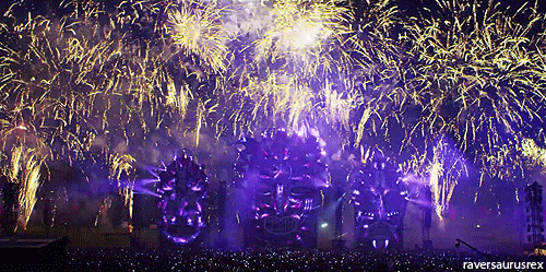 party festival GIF